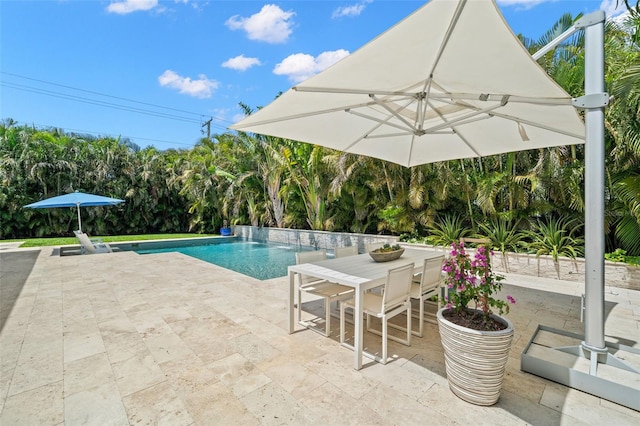 5025 W Homer Ave, Tampa, FL 33629 - outdoor pool featuring a patio and outdoor dining area