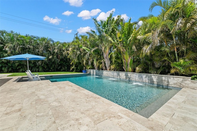 5025 W Homer Ave, Tampa, FL 33629 - outdoor pool with a patio