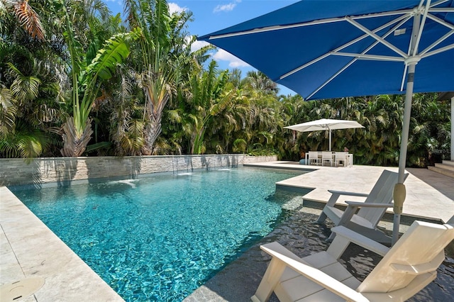 5025 W Homer Ave, Tampa, FL 33629 - outdoor pool featuring a patio