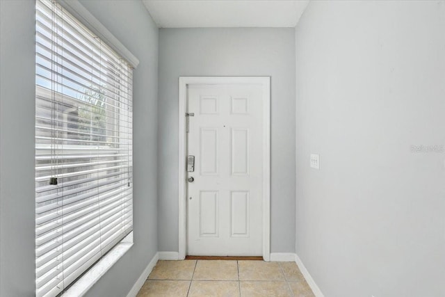 10524 White Peacock Pl, Riverview, FL 33578 - doorway to outside with plenty of natural light, baseboards, and light tile patterned floors