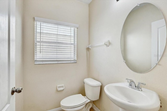 10524 White Peacock Pl, Riverview, FL 33578 - half bath with toilet, a sink, healthy amount of natural light, and baseboards