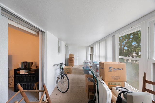 9945 47th Ave N Unit 203, Saint Petersburg, FL 33708 - view of sunroom / solarium