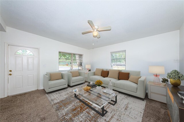 7051 Dartmouth Ave N, Saint Petersburg, FL 33710 - photo 6