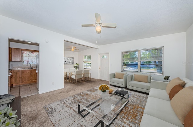 7051 Dartmouth Ave N, Saint Petersburg, FL 33710 - photo 10