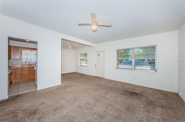 7051 Dartmouth Ave N, Saint Petersburg, FL 33710 - photo 11