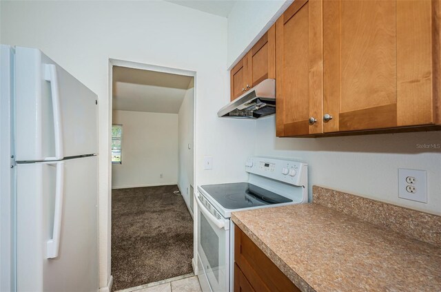 7051 Dartmouth Ave N, Saint Petersburg, FL 33710 - photo 20