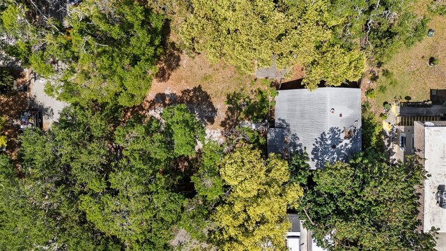 1591 S Prospect Ave, Clearwater, FL 33756 - photo 27