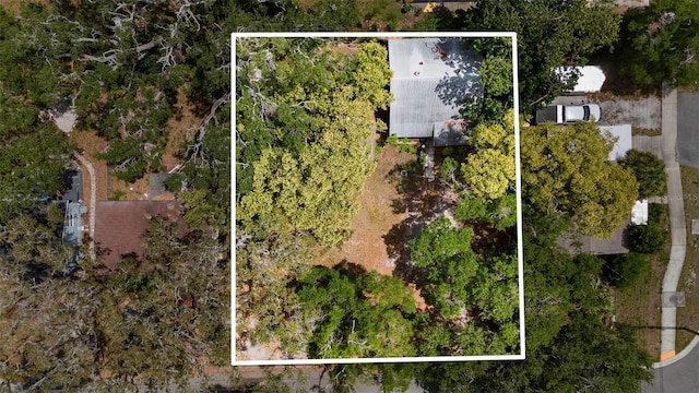 1591 S Prospect Ave, Clearwater, FL 33756 - photo 2