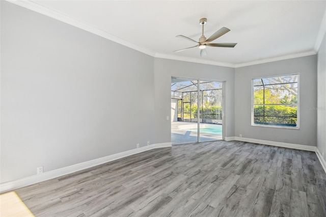 8818 Poe Dr, Hudson, FL 34667 - photo 15