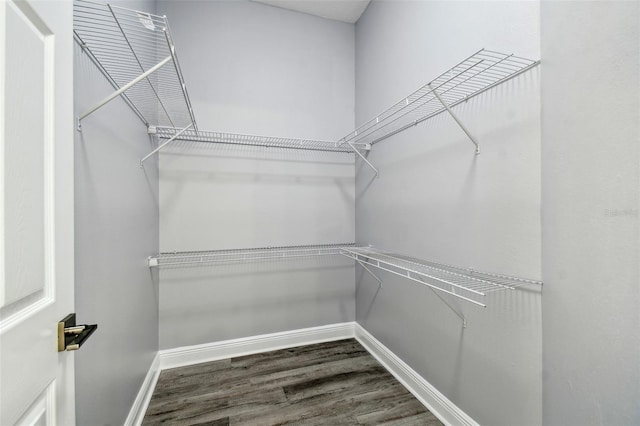 8818 Poe Dr, Hudson, FL 34667 - photo 23