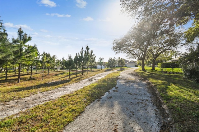 8818 Poe Dr, Hudson, FL 34667 - photo 61