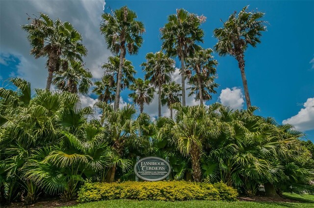 4693 Aylesford Dr, Palm Harbor, FL 34685 - photo 60
