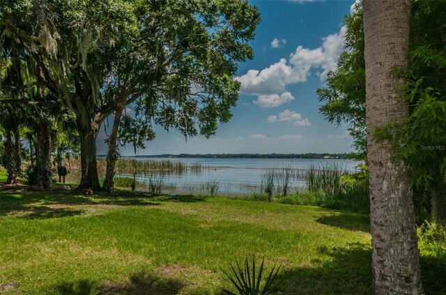4693 Aylesford Dr, Palm Harbor, FL 34685 - photo 72