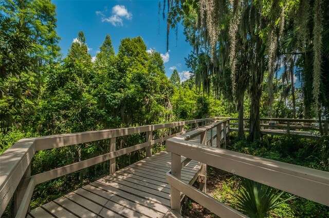 4693 Aylesford Dr, Palm Harbor, FL 34685 - photo 76