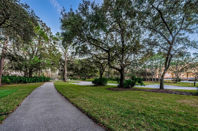 4693 Aylesford Dr, Palm Harbor, FL 34685 - photo 90
