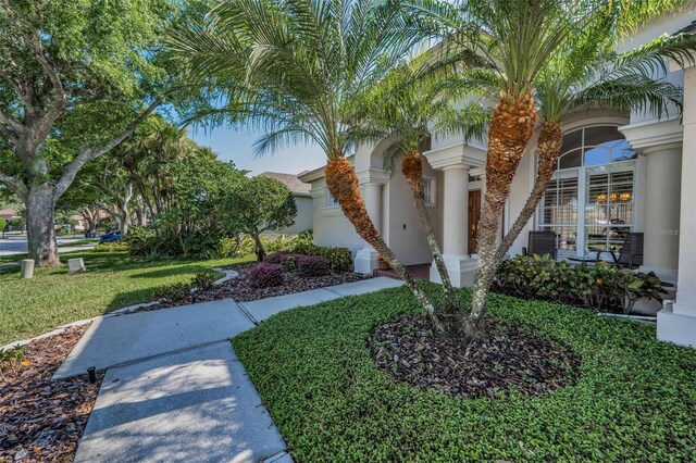 4693 Aylesford Dr, Palm Harbor, FL 34685 - photo 5