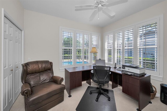 4693 Aylesford Dr, Palm Harbor, FL 34685 - photo 41