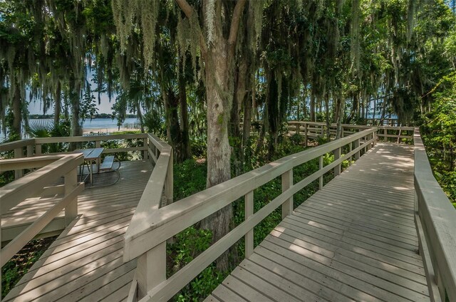 4693 Aylesford Dr, Palm Harbor, FL 34685 - photo 73