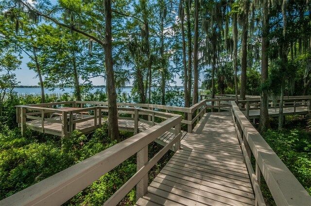 4693 Aylesford Dr, Palm Harbor, FL 34685 - photo 75