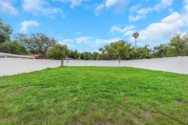 8505 N Brooks St, Tampa, FL 33604 - view of yard