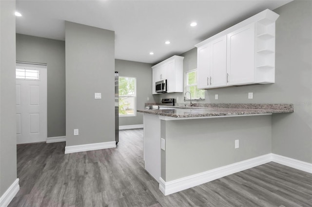 8505 N Brooks St, Tampa, FL 33604 - kitchen featuring stainless steel appliances, healthy amount of natural light, baseboards, dark wood-style flooring, and recessed lighting