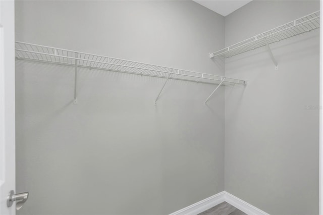 8505 N Brooks St, Tampa, FL 33604 - view of spacious closet