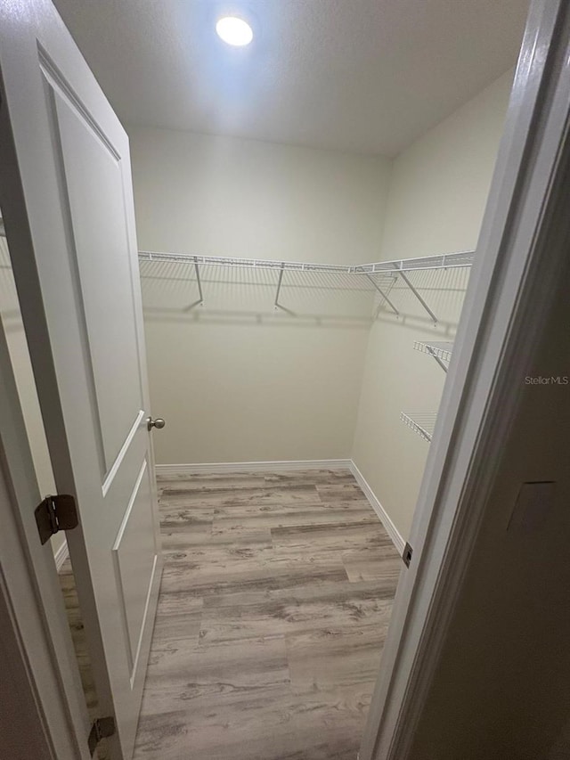 spacious closet featuring light wood finished floors