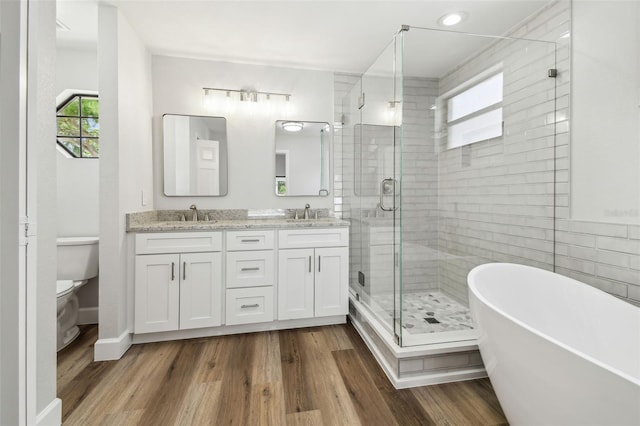full bathroom featuring toilet, a sink, a shower stall, and a wealth of natural light