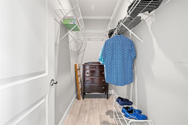 view of walk in closet