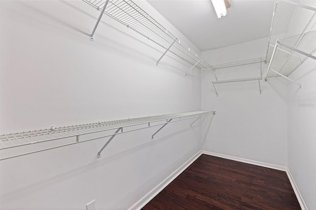 1572 84th Ave N, Saint Petersburg, FL 33702 - photo 24