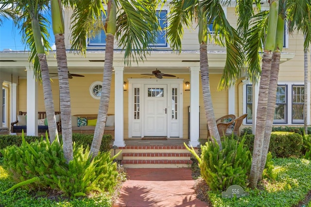 556 21st Ave NE, Saint Petersburg, FL 33704 - photo 7