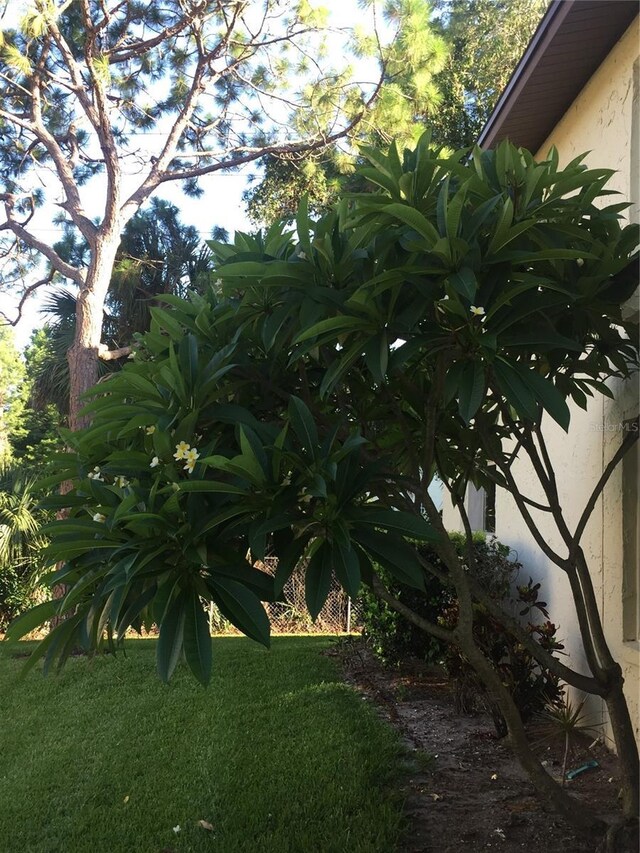 501 E Bay Dr Unit 2003, Largo, FL 33770 - view of yard