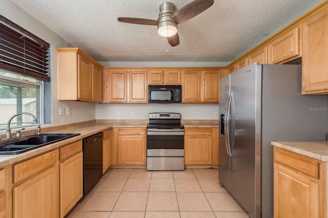333 Acropolis Dr, Dunedin, FL 34698 - photo 10