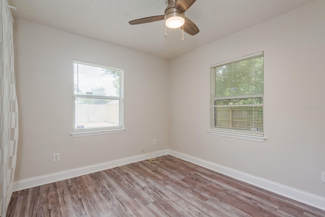 333 Acropolis Dr, Dunedin, FL 34698 - photo 13