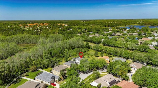 21744 Waverly Shores Ln, Land O Lakes, FL 34637 - photo 4