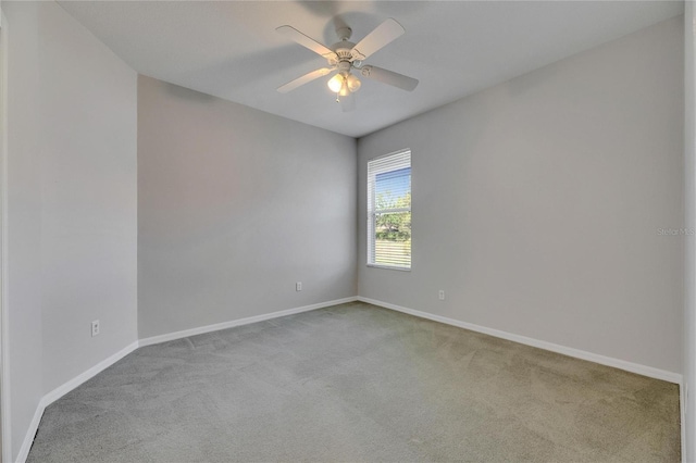 21744 Waverly Shores Ln, Land O Lakes, FL 34637 - photo 38