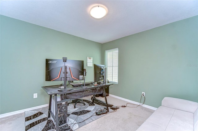 10822 Verawood Dr, Riverview, FL 33579 - photo 19