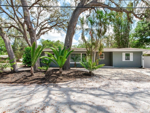 ranch-style house featuring driveway and stucco siding
