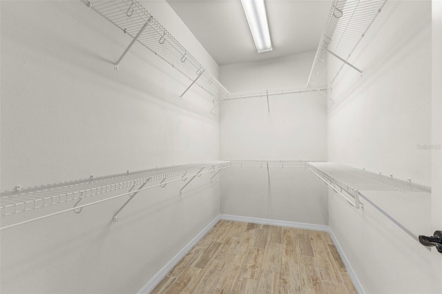 spacious closet featuring light wood-style floors
