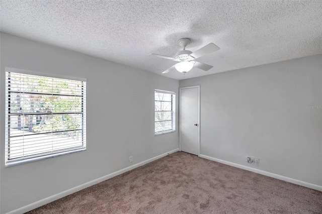 4733 W Vasconia St, Tampa, FL 33629 - photo 27