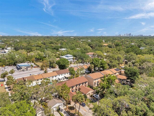 4733 W Vasconia St, Tampa, FL 33629 - photo 53