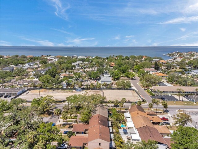 4733 W Vasconia St, Tampa, FL 33629 - photo 58