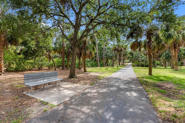 8300 37th Ave N, Saint Petersburg, FL 33710 - photo 64