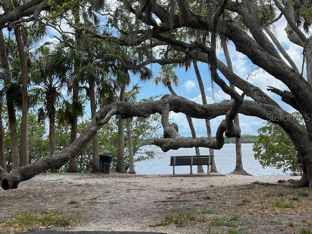 8300 37th Ave N, Saint Petersburg, FL 33710 - photo 65