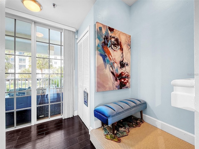 entryway featuring baseboards and wood finished floors