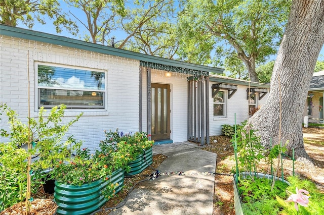 3202 W Coachman Ave, Tampa, FL 33611 - doorway to property featuring brick siding