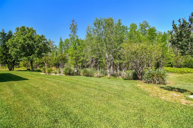21627 Pearl Crescent Ct, Land O Lakes, FL 34637 - view of yard