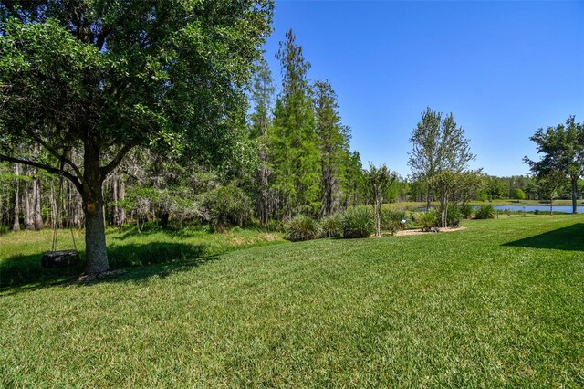 21627 Pearl Crescent Ct, Land O Lakes, FL 34637 - view of yard with a water view
