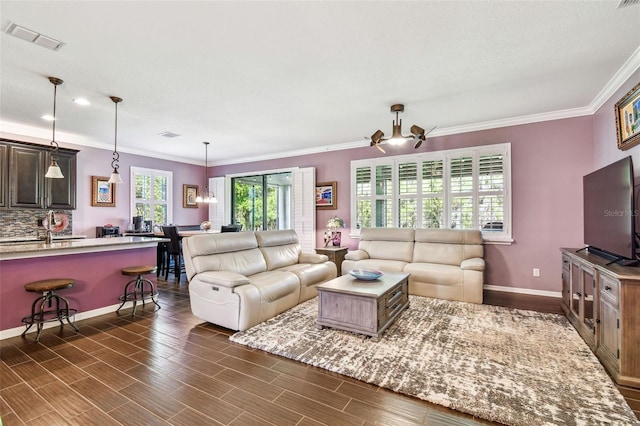 21627 Pearl Crescent Ct, Land O Lakes, FL 34637 - living room with dark wood-type flooring, visible vents, baseboards, and crown molding