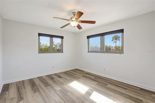 3901 E Eden Roc Cir, Tampa, FL 33634 - photo 33
